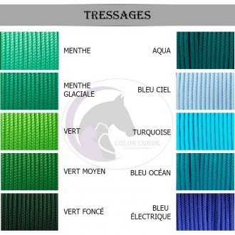 Laisse personnalisée 