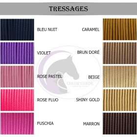 Laisse personnalisée 