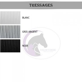 Laisse personnalisée 