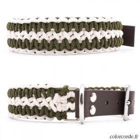 Collier chien personnalisé