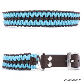 Collier chien personnalisé
