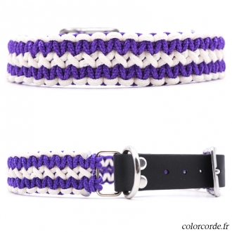 Collier chien personnalisé