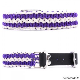 Collier chien personnalisé