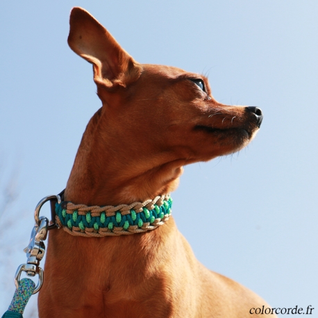 Collier personnalisé chien