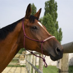 Licol éthologique ZigZag personnalisable