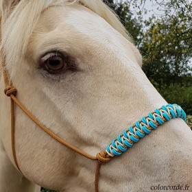 Licol éthologique...
