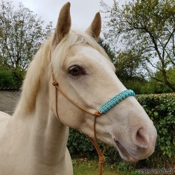 Licol en corde Pedro - licol éthologique personnalisable