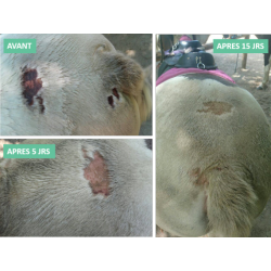 Anti-Démangeaisons et Dermites Ekin