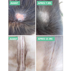 Baume réparateur cutané Ekin