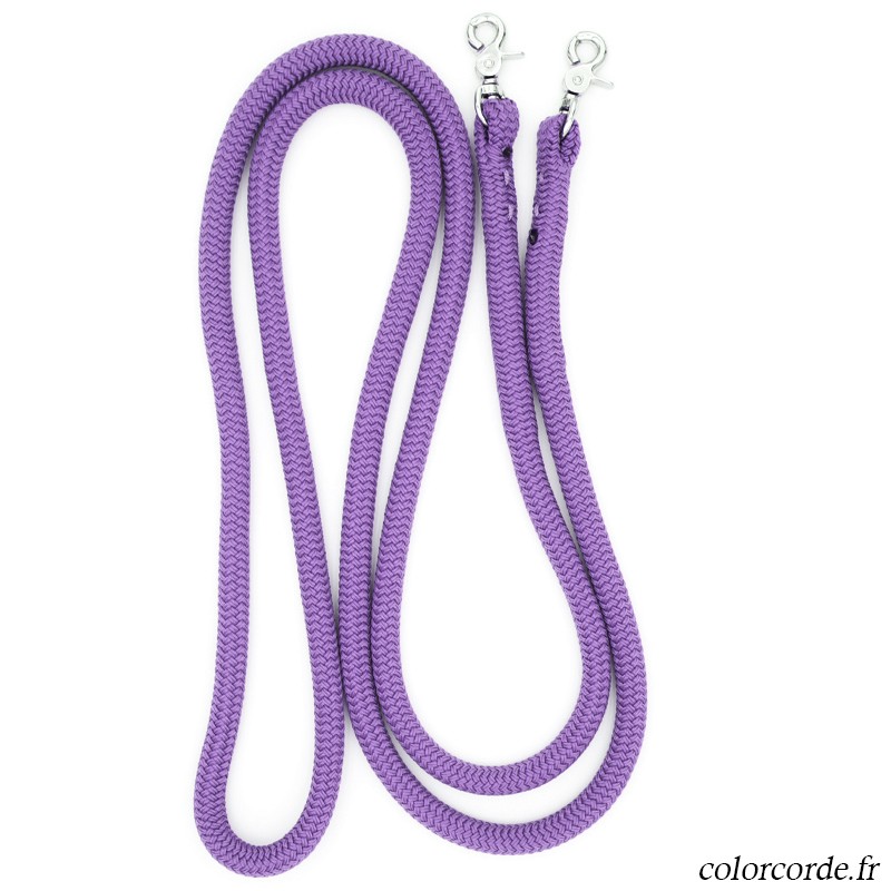 Rênes éthologiques