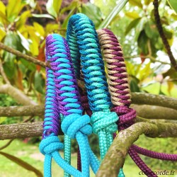 Licol éthologique personnalisable - tressage Alpha