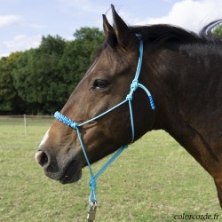 Licol éthologique personnalisé - modèle Harp