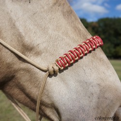 Licol éthologique personnalisable - tressage Azur