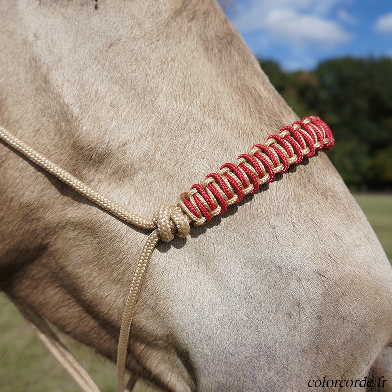 Licol éthologique personnalisable - tressage Azur