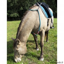 Clip sécurité cordéo