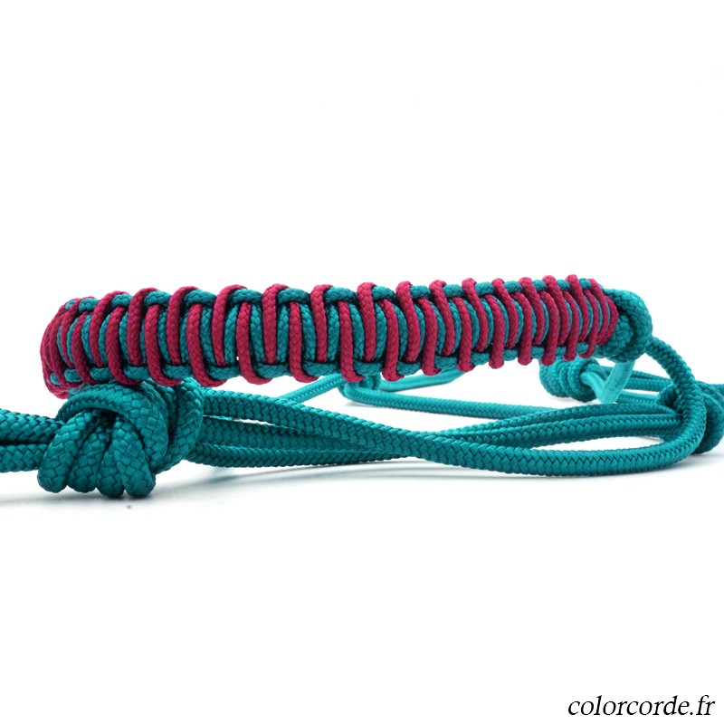 Licol éthologique bleu canard