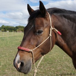 Licol éthologique bleu canard