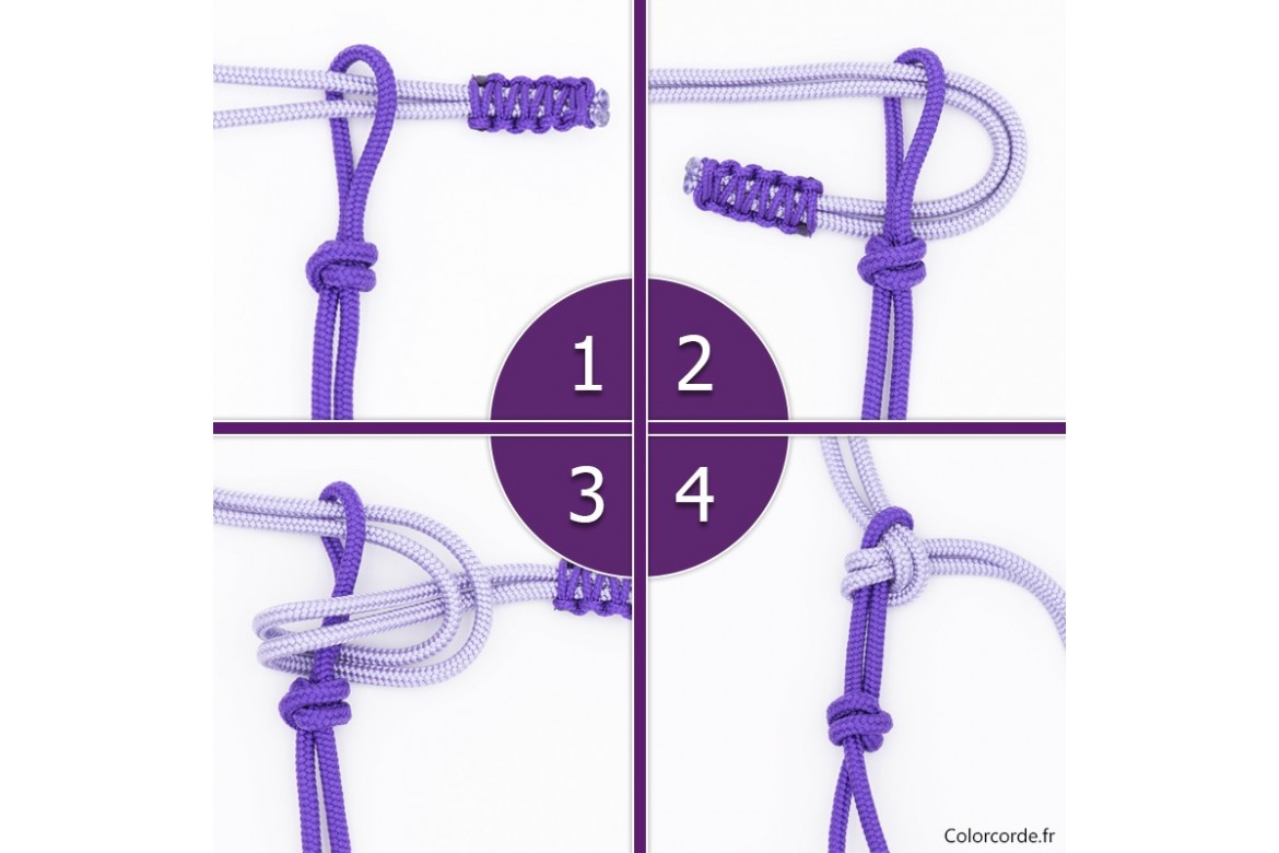 Comment nouer un licol éthologique